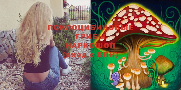 марихуана Дмитровск
