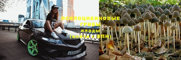 Альфа ПВП Дмитров