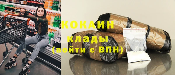 мет Дмитриев