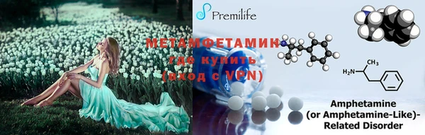 мет Дмитриев