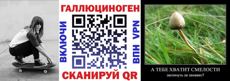 закладка  Нижневартовск  Псилоцибиновые грибы Cubensis 
